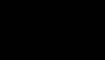 لوله کاروگیت هلدینگ