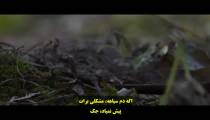فیلم مار گزیدگی Snake Bite 2016 زیرنویس فارسی