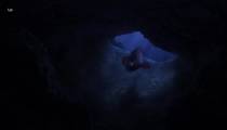Finding Nemo 2003