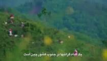 چهار فصل در شیانگ یانگ