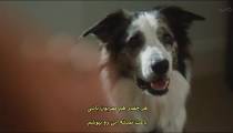 فیلم سگ های آشغال Junkyard Dogs 2022 زیرنویس فارسی