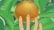 انیمه وان پیس One Piece - قسمت 45 - دوبله فارسی - انیمه شو