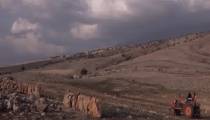 مستند فریاد بلوط