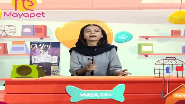 اهمیت غذای خشک در رژیم غذایی حیوان ها