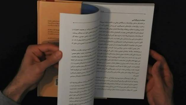 Public Choice Theory - Relative Deprivation Theory - Nicklas Nickel