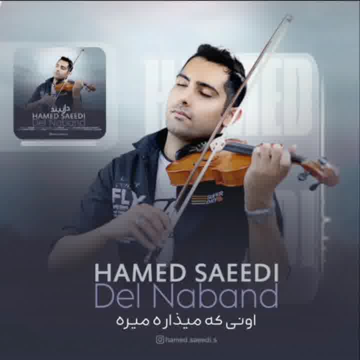 موزیک جدید حامد سعیدی دل نبند