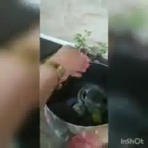 چدن وسرشعله های گاز