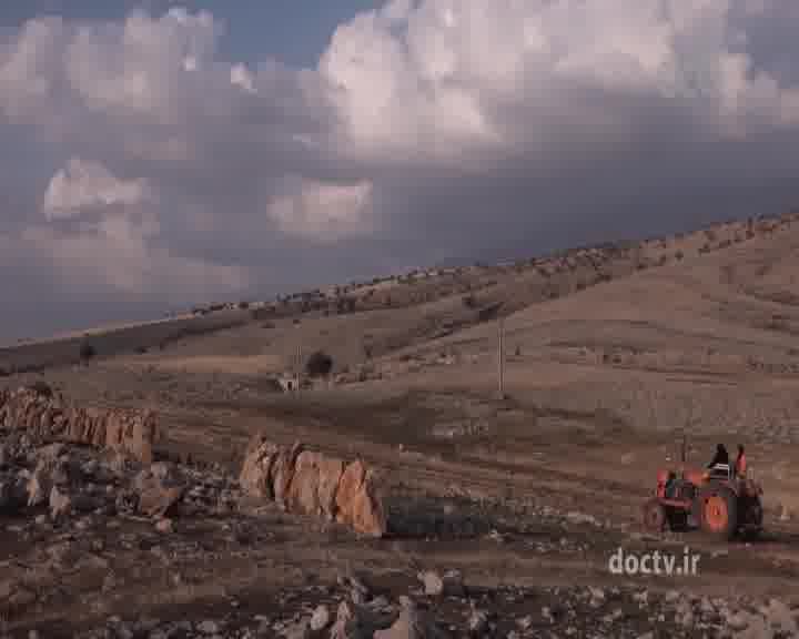 مستند فریاد بلوط