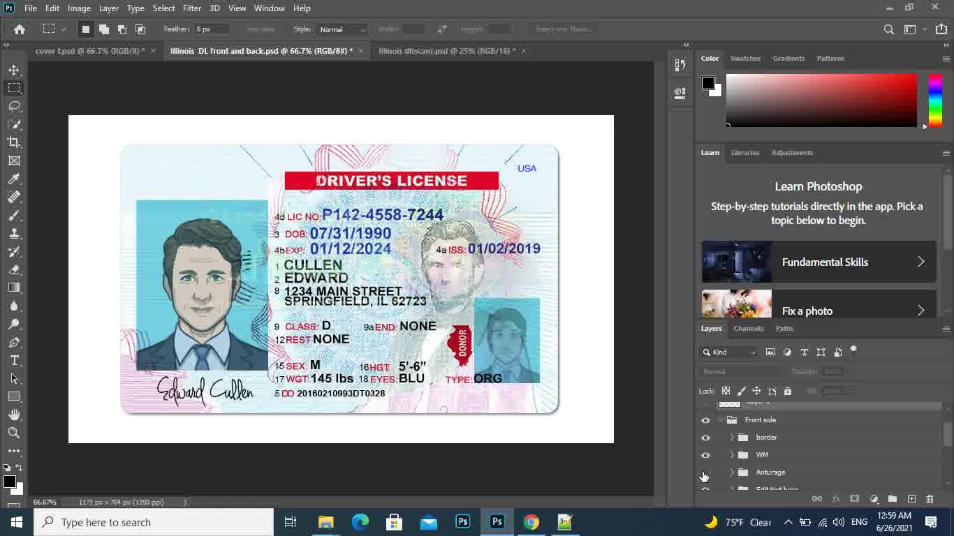 drivers license  psd template